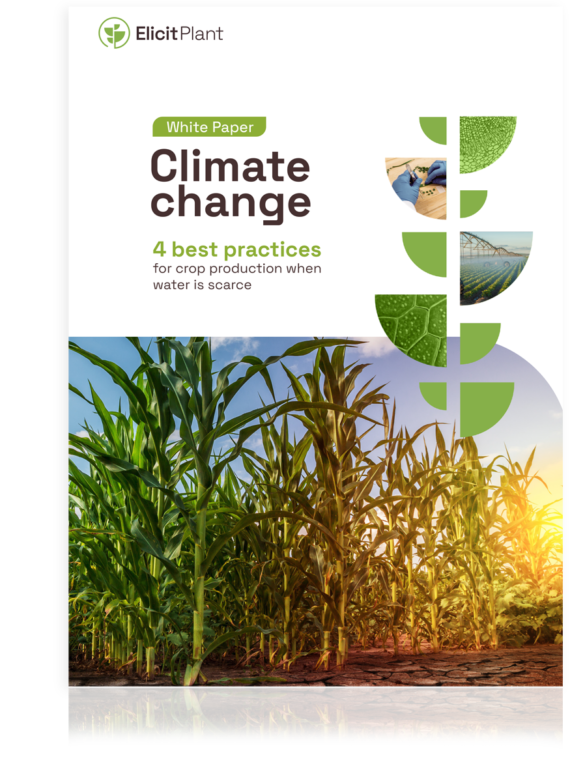 Download the white paper about drought stress